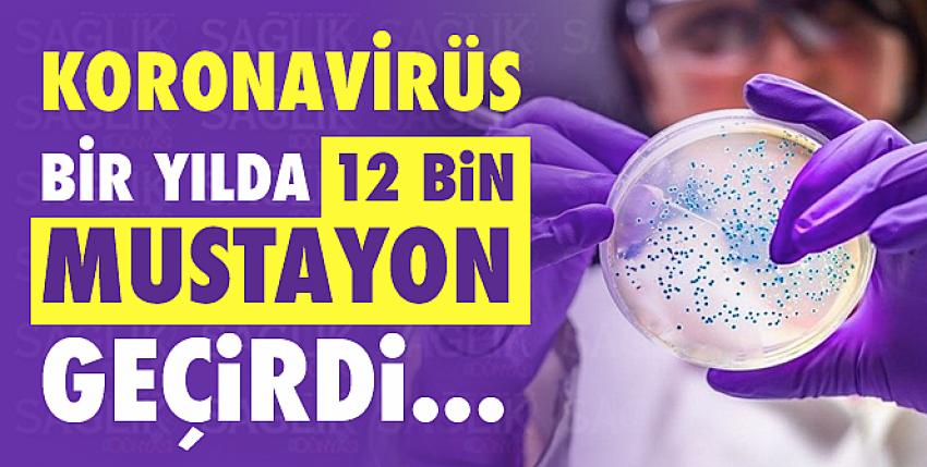 Koronavirüs bir yılda 12 bin mustayon geçirdi!
