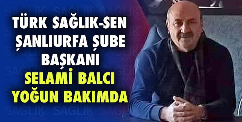 Türk Sağlık-Sen Şanlıurfa Şube Başkanı Selami Balcı Yoğun Bakımda