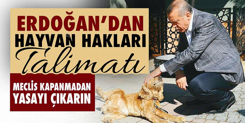 Cumhurbaşkanı Erdoğan hayvan hakları için talimat verdi