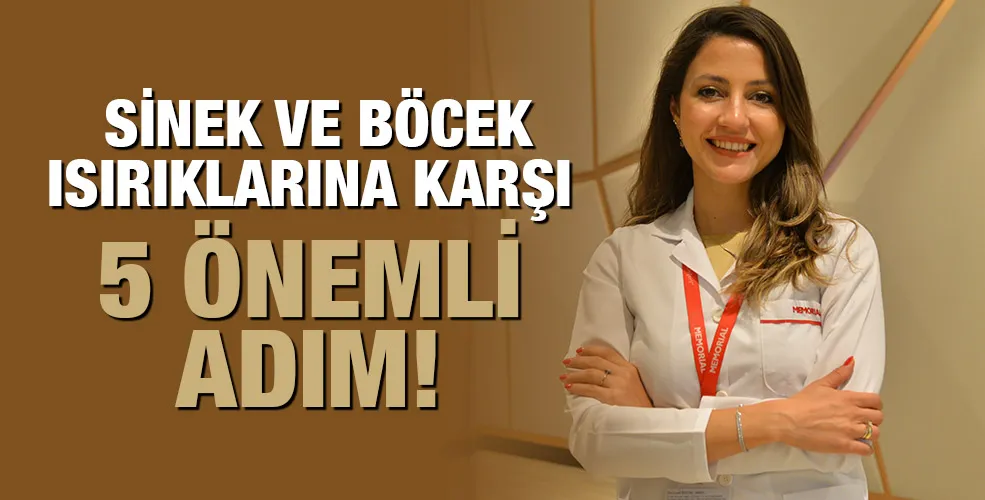  SİNEK VE BÖCEK ISIRIKLARINA KARŞI 5 ÖNEMLİ ADIM!