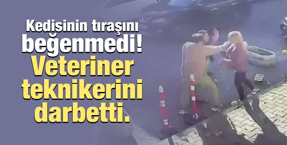 Kedisinin tıraşını beğenmedi! Veteriner teknikerini darbetti