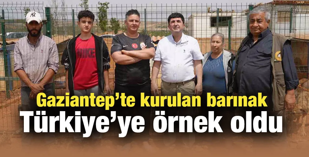 Gaziantep’te kurulan barınak Türkiye’ye örnek oldu