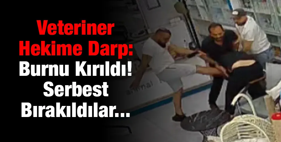 Veteriner hekime darp:Burnu Kırıldı!