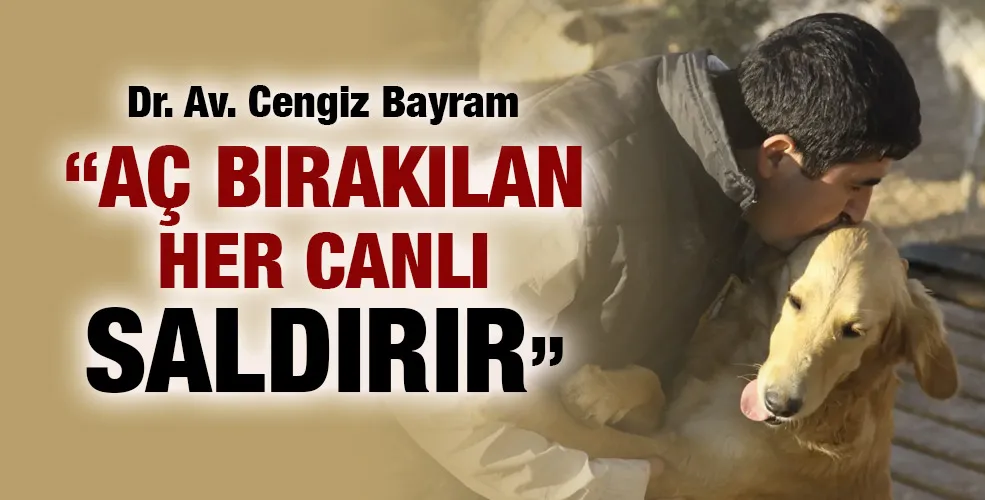 Dr. Av. Cengiz Bayram“Aç bırakılan her canlı saldırır”