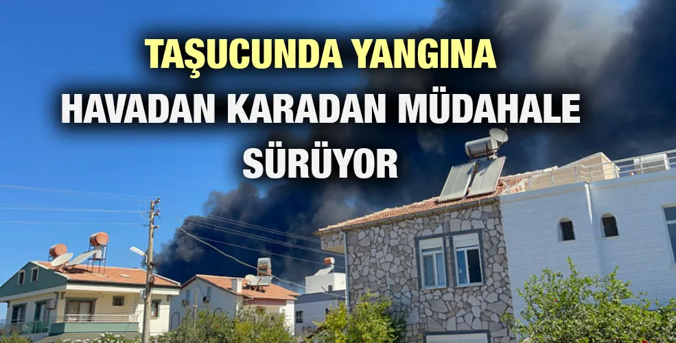 Taşucunda yangına havadan karadan müdahale sürüyor 