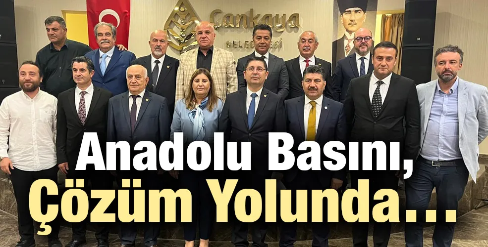 Anadolu Basını, Çözüm Yolunda…