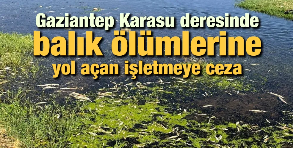 Gaziantep Karasu deresinde balık ölümlerine yol açan işletmeye ceza