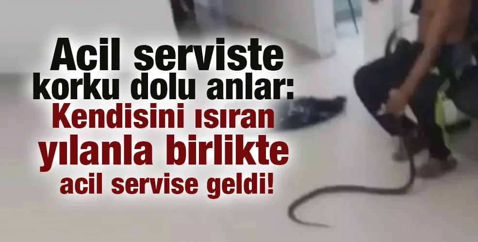 Acil serviste korku dolu anlar: Kendisini ısıran yılanla birlikte acil servise geldi!