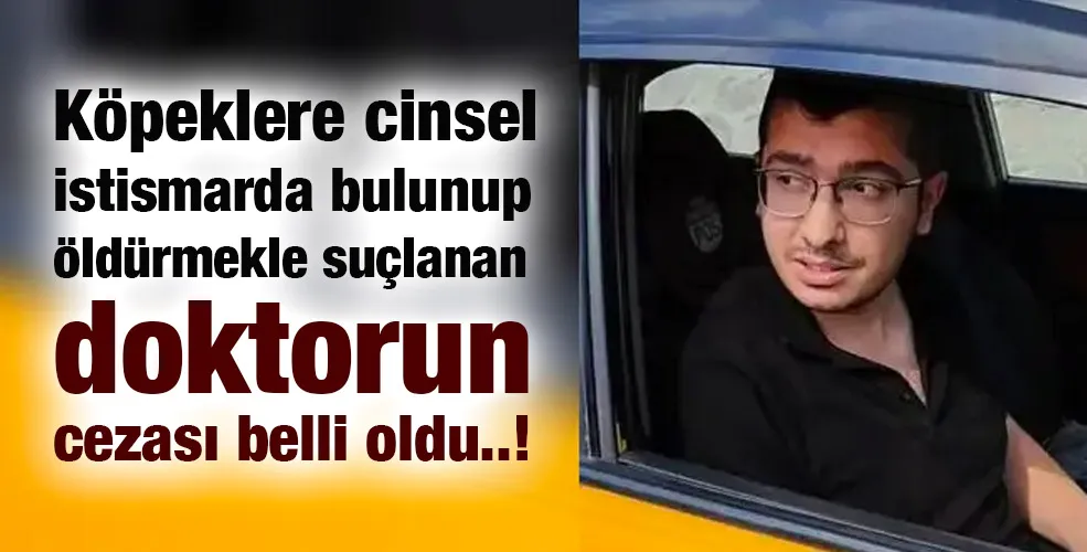 Köpeklere cinsel istismarda bulunup öldürmekle suçlanan doktorun cezası belli oldu