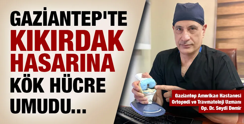 KIKIRDAK HASARINA KÖK HÜCRE UMUDU