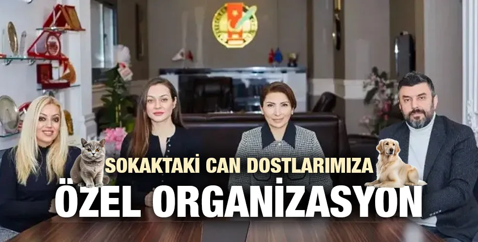 Sokaktaki can dostlarımıza  özel  organizasyon .