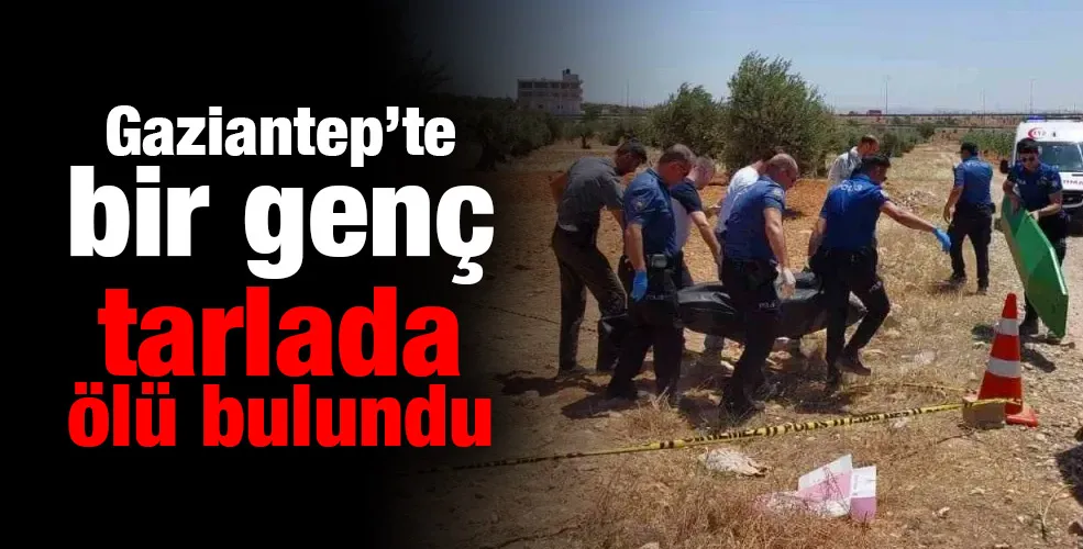 Gaziantep’te bir genç tarlada ölü bulundu