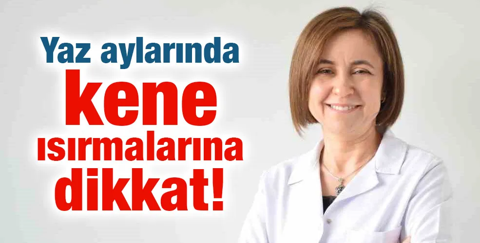 Yaz aylarında kene ısırmalarına dikkat
