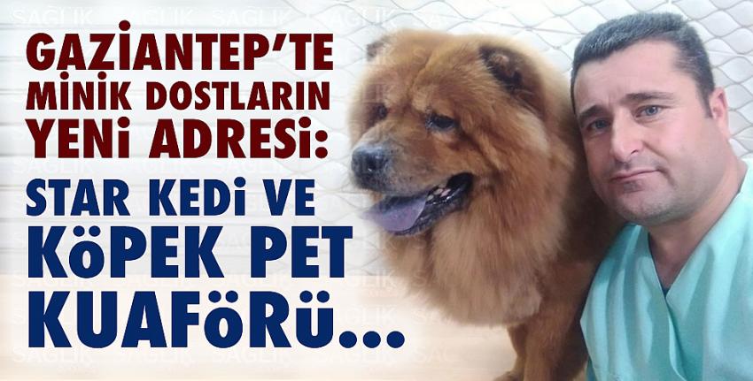 Gaziantep’te Minik dostların yeni adresi: Star Kedi ve Köpek Pet Kuaförü