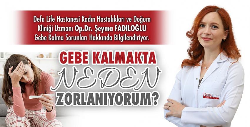 Gebe Kalma Sorunları