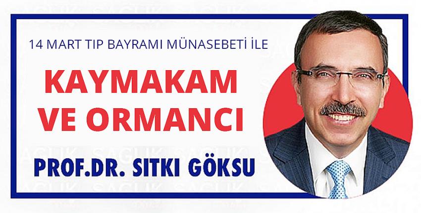 Kaymakam ve Ormancı